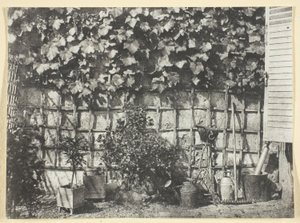 La Treille von Hippolyte Bayard