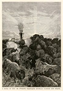 Eine Herde von zehn oder zwölftausend Büffeln versperrte den Weg, aus In 80 Tagen um die Welt von Jules Verne (1828-1905), graviert von Louis Prevost, 1873