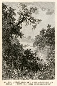 In einer feinen Kutsche, gezogen von prächtigen Pferden, fuhren Aouda und Phileas Fogg durch die reiche Waldlandschaft, aus In 80 Tagen um die Welt von Jules Verne (1828-1905) graviert von Henri-Théophile von Hippolyte Leon after Benett