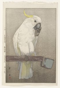Gelbhaubenkakadu von Hiroshi Yoshida