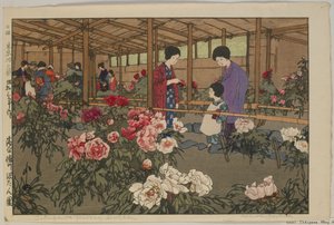 Tokugawa-Pfingstrosengarten, aus der Serie Zwölf Szenen von Tokio, Showa-Ära