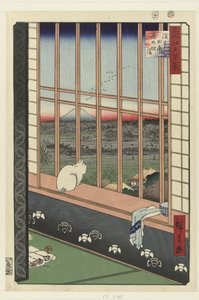 Asakusa-Reisfelder und Torinomachi-Festival