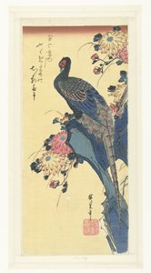 Fasan und Chrysanthemen von Hiroshige (I) , Utagawa