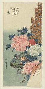 Pfau und Pfingstrosen von Hiroshige (I) , Utagawa