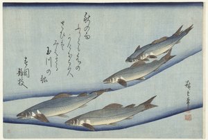 Forelle von Hiroshige (I) , Utagawa