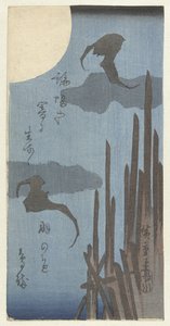 Fledermäuse und Mond