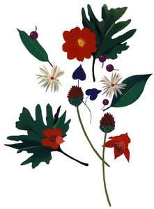 Eine Blume, die dich an Weihnachten denken lässt von Hiroyuki Izutsu