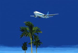 Flugzeug und Palme