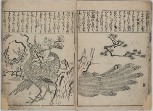 Eine Sammlung von Blumen und Vögeln von Hishikawa Moronobu