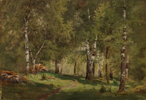 Inneres eines Birkenhains von Hjalmar Munsterhjelm