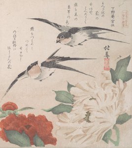 Sammlung Frühlingsregen Harusame shu, Bd. 3: Schwalben und Pfingstrosen, ca. 1820