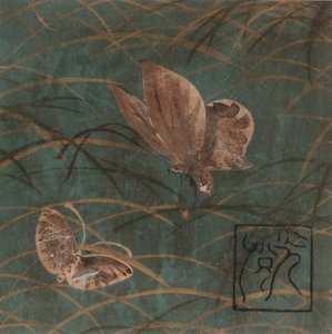 Schmetterlinge und Gräser, Edo-Zeit, frühes 17. Jahrhundert von Hon