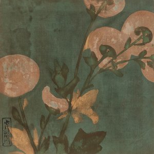 Chrysanthemen, Edo-Periode, spätes 16. bis frühes 17. Jahrhundert