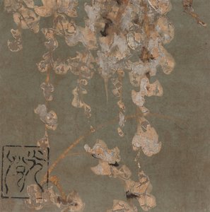 Wisteria-Blüten, Edo-Periode, frühes 17. Jahrhundert