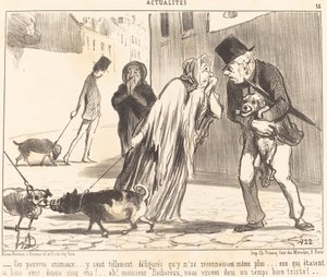 Diese armen Tiere... erkennen sich nicht mehr... von Honoré Daumier
