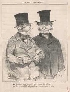 Warum tragen Sie noch keinen Talma? ... von Honoré Daumier
