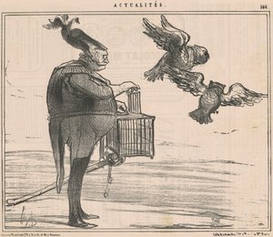 Zwei Uhus losgelassen ... auf Sewastopol