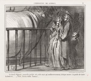 Ausstellung von Tieren: Pl. 5, Die Kuh-Elefant, Neue Sorte von Honoré Daumier