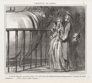 Ausstellung der Tiere: Die Kuh-Elefant, neue Sorte von Honoré Daumier