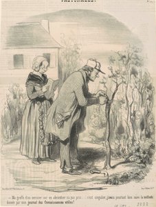 Mein Pfropfen eines Kirschbaums auf einen Aprikosenbaum hat nicht geklappt ... von Honoré Daumier