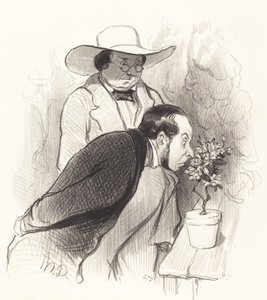 Ein Triumph des Botanikers von Honoré Daumier