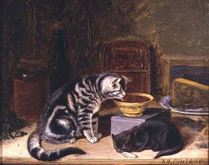 Zwei Katzen von Horatio Henry Couldery