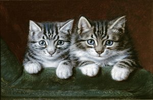 Zwei getigerte Kätzchen von Horatio Henry Couldery