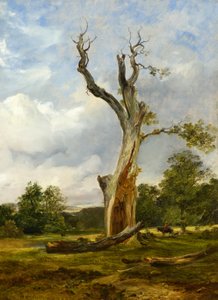 Der zerstörte Baum, ca. 1838