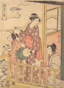 Ein Langschwanzhuhn Onagadori, aus der Serie Zwölf verschiedene Vögel Shocho junikin..., ca. 1791