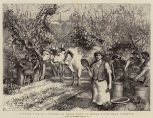 Weinlesezeit in einem Podere oder kleinen Bauernhof in Monte Fiano, in der Nähe von Florenz von Hubert von Herkomer