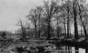 Frühling, 1885-86