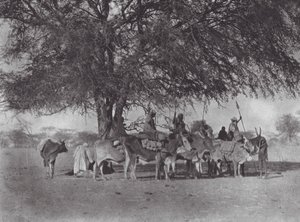 Afrika: Karawane von Ochsenreitern am Weißen Nil (s/w Foto) von Hugo Adolf Bernatzik