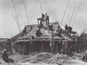 Afrika: Errichtung eines Rastplatzes in der Nähe von Amadi von Hugo Adolf Bernatzik