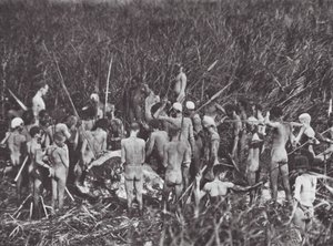 Afrika: Nuer-Jäger mit Elefantenkörper von Hugo Adolf Bernatzik