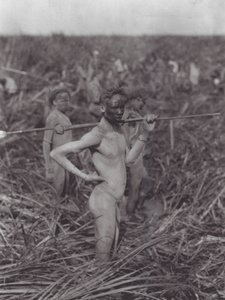 Afrika: Nuer-Krieger im Sumpf von Hugo Adolf Bernatzik