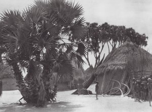 Afrika: Shilluk-Dorf am Weißen Nil von Hugo Adolf Bernatzik