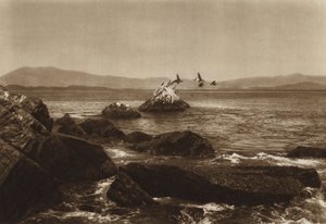 Mexiko: Costa de Manzanillo, Pelikane, Bundesstaat Colima von Hugo Brehme