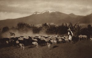Mexiko: Die Umgebung von Amecameca von Hugo Brehme