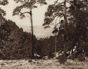 Mexiko: Wildes Panorama am Fuße des Pico de Orizaba von Hugo Brehme