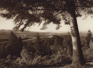 Mexiko: Nationalpark, Wüste der Löwen von Hugo Brehme