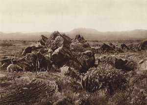 Mexiko: Pedregal, Basalt-Lavastrom nahe San Angel