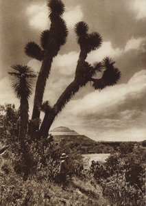 Mexiko: San Juan Teotihuacan, Sonnenpyramide von Hugo Brehme