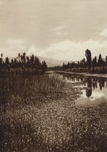 Mexiko: Xochimilco, Einer der Hauptkanäle