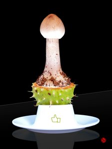 Like von Hugo Nefe