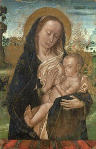 Die Jungfrau Maria beruhigt das Jesuskind von Hugo van der studio of Goes