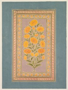 Blühende Ringelblume, ca. 1765 von Hunhar II