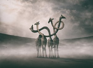 Surreale Giraffenhälse von Hussain Buhligaha