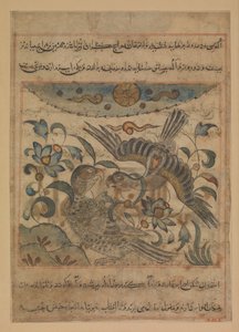 Paar Adler, Folio aus einem Manafi
