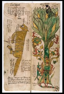 Der Wolf Fenrir und der Weltenbaum Yggdrasil, 1680 von Icelandic School
