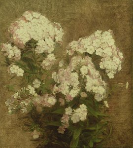 Phlox, 1870 von Ignace Henri Jean Fantin Latour